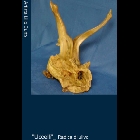 80 b.jpg